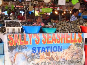 Sally's Seashells