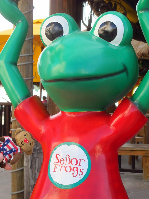 Hi there Senor Frog!