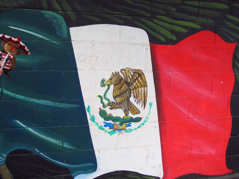 the Mexican flag