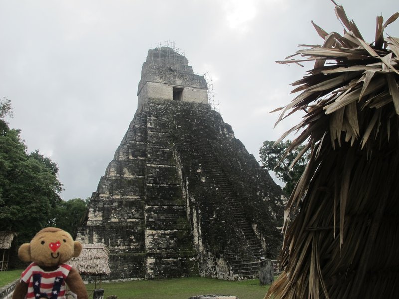 At Tikal