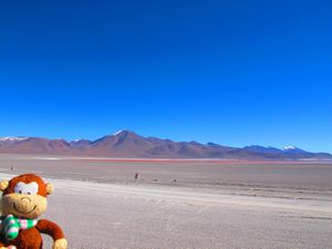 the salt flats are great aren't they?