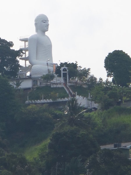 Awesome Buddha