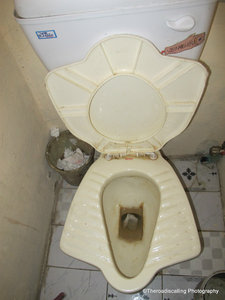 nasty toilet