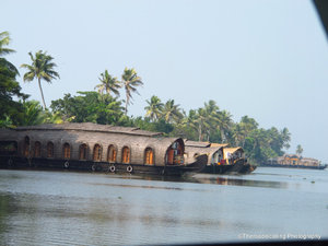 houseboats in Alleppey