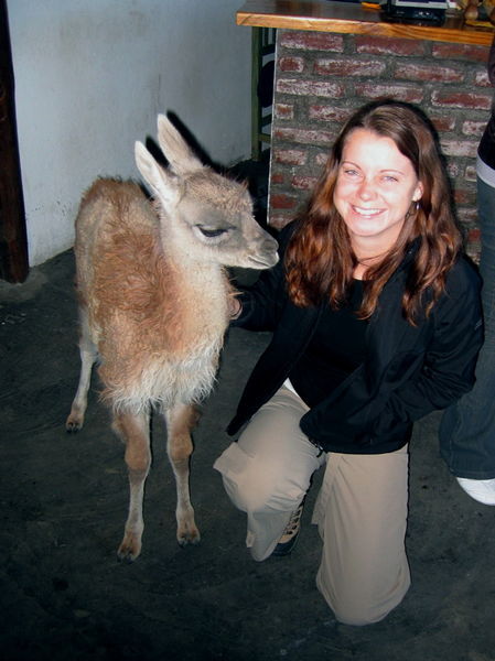 Leanne and a Baby Guanaco
