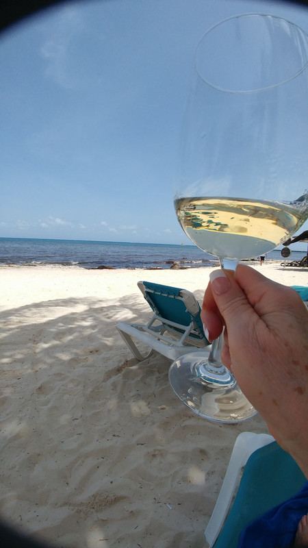 View from a wine glass
