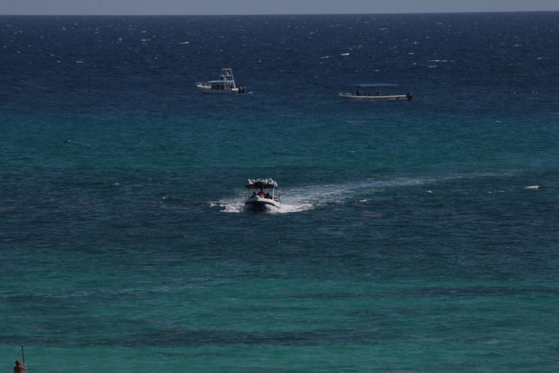 Boats coming in