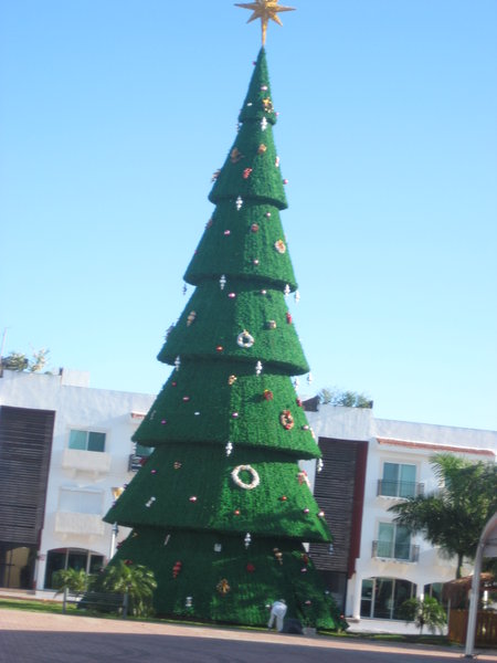 Christmas tree in Playa