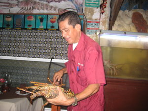 Lobster fest
