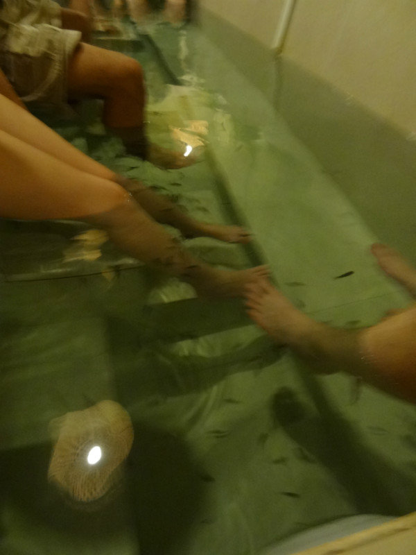 that tickles; fish spa