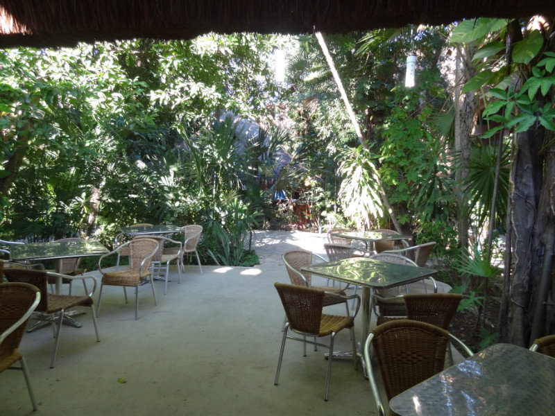 Cafe garden