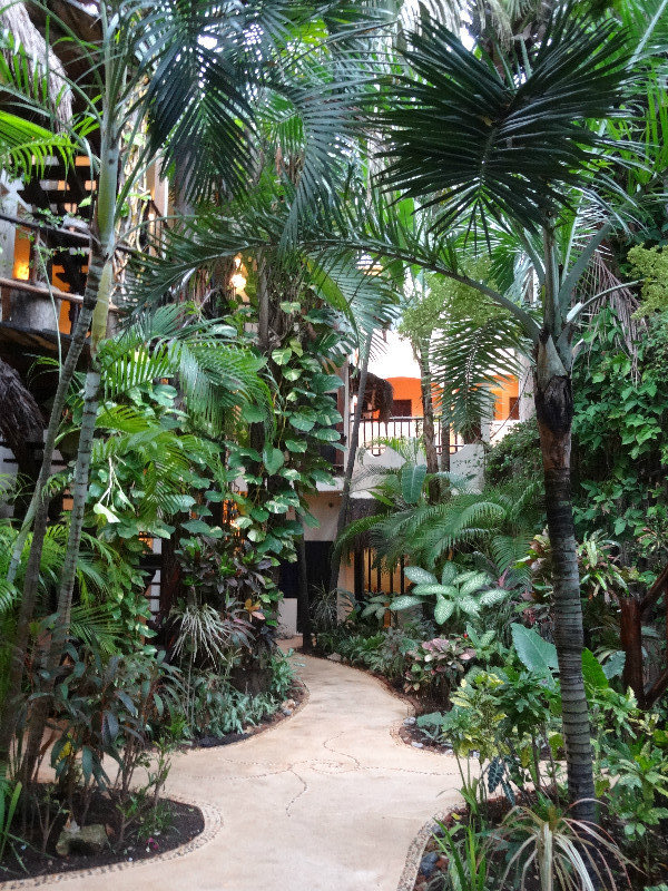 tropical walkway