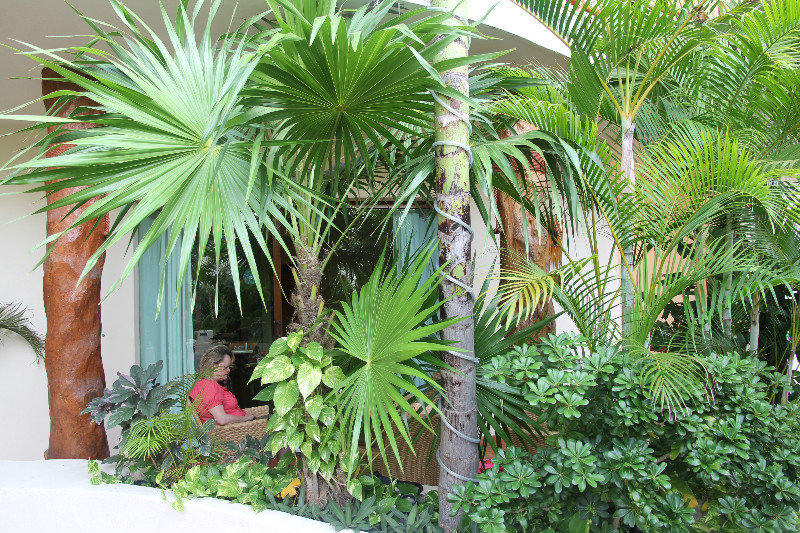 Patio with palm trees