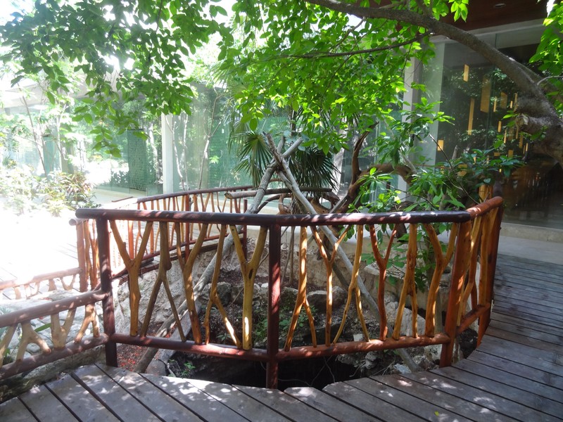 Bamboo rail around cenote