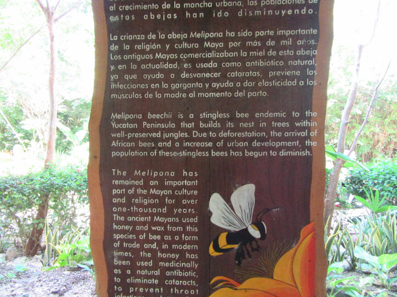 Info on the bees