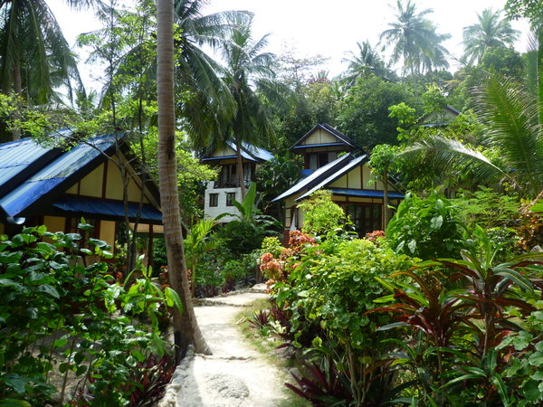 Ko pha-ngan beach huts