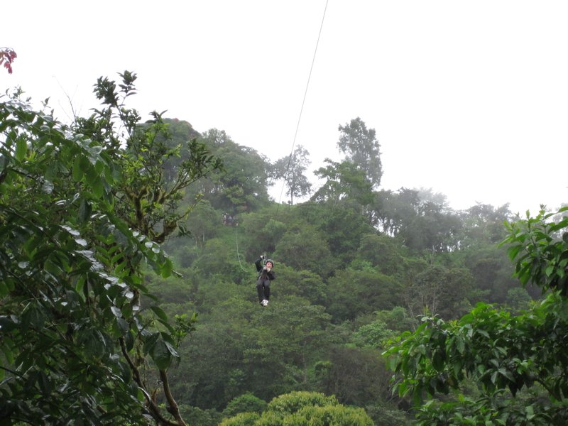 And Another Zip-Line