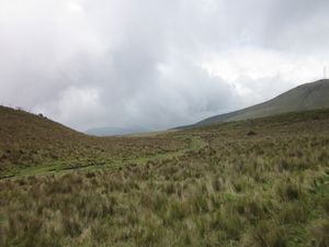 Pichincha Landscape (Pich)