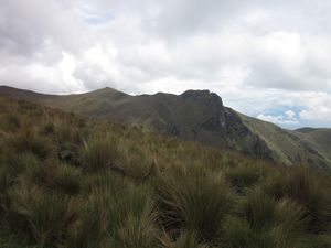 Pichincha Landscape (Pich)