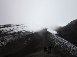 Path Into the Snow (Coto)