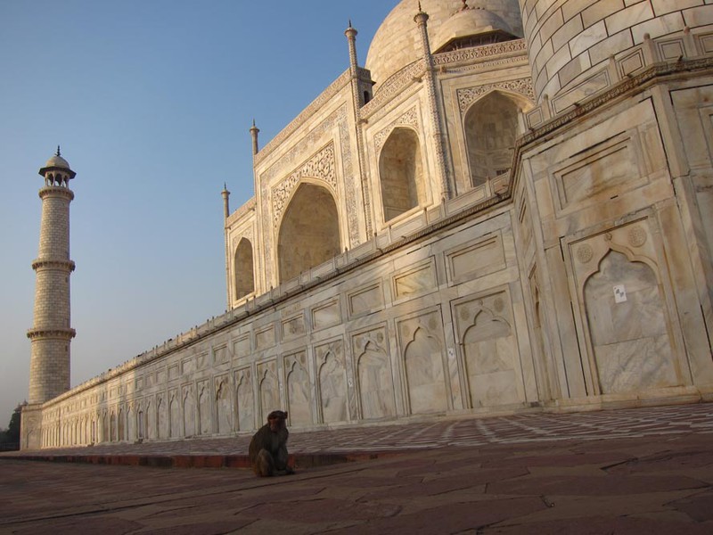 Faces of Taj Mahal