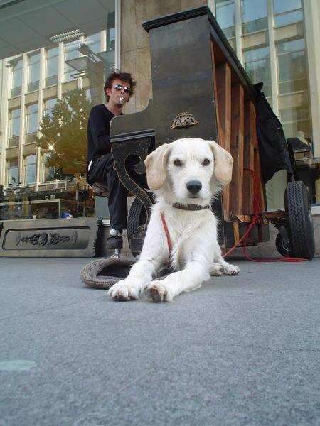 Street performer, and his owner playing the piano