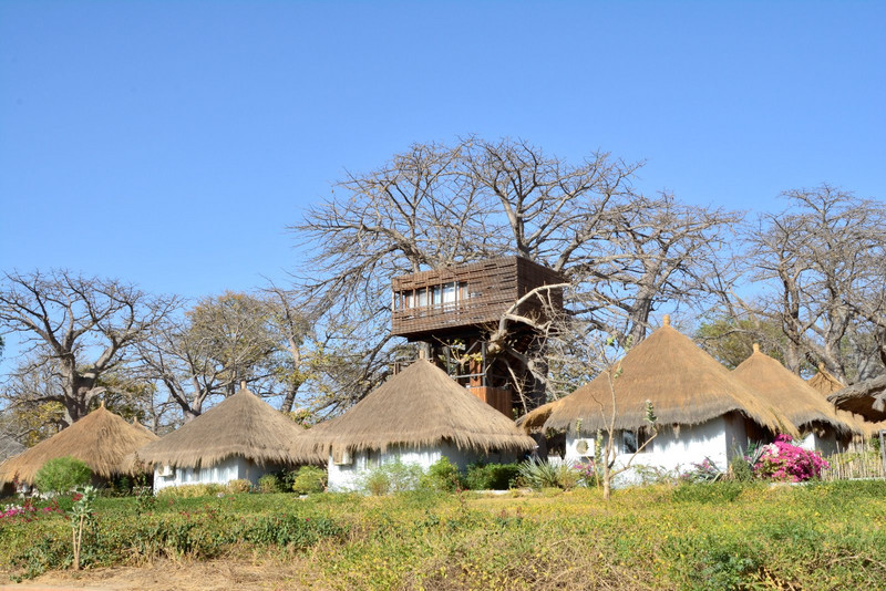 La suite Baobab