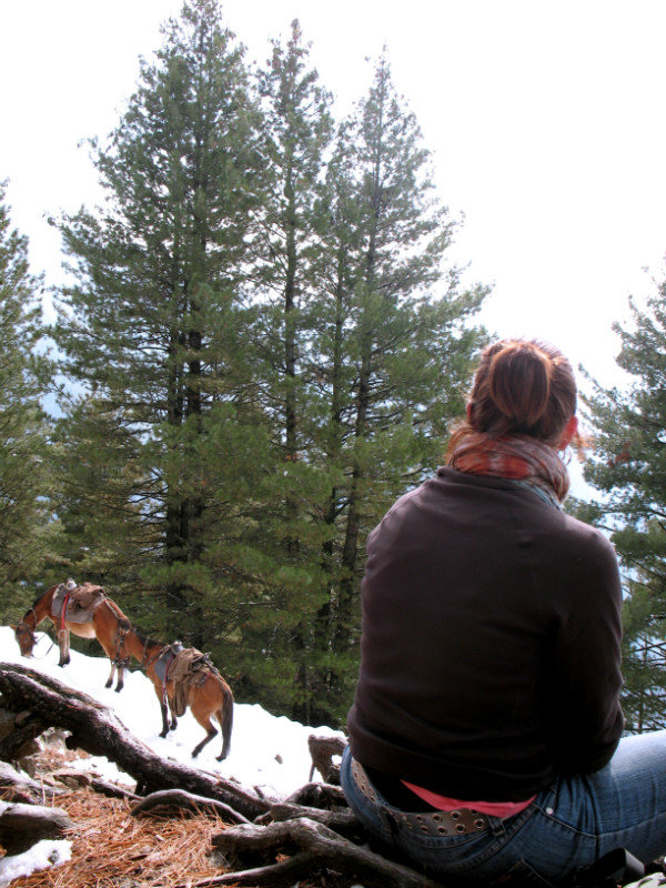 Marilou et les maigres chevaux durant le trek 