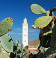 Minaret et cactus