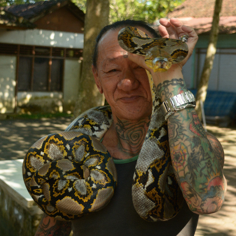 Le tatoue et le serpent