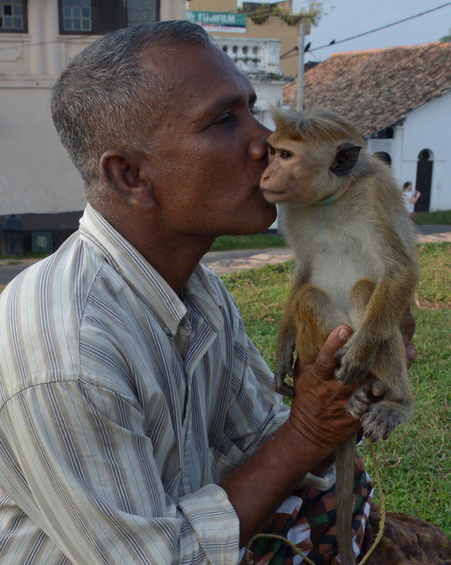 Kiss the monkey