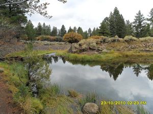 Pine Valley Reservoir- Dixie National Forest