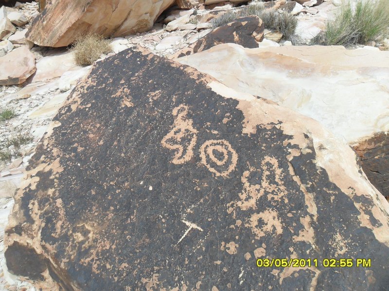 anasazi petroglyph​s