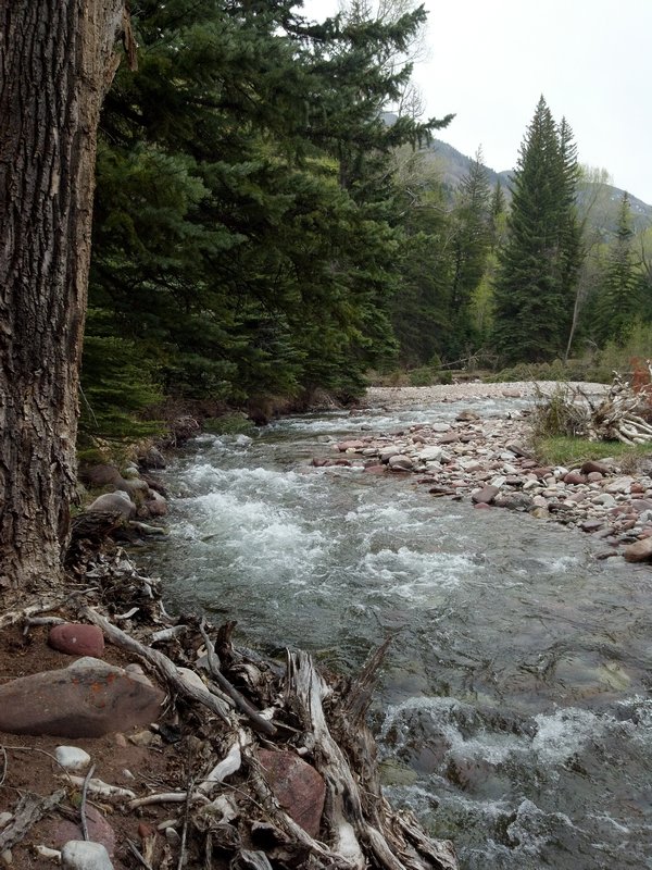 Avalanche Creek Trail
