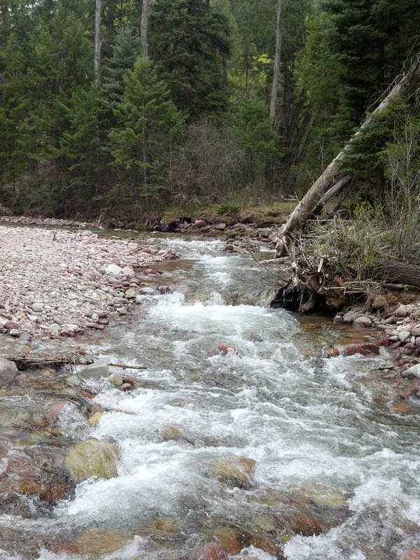 Avalanche Creek Trail