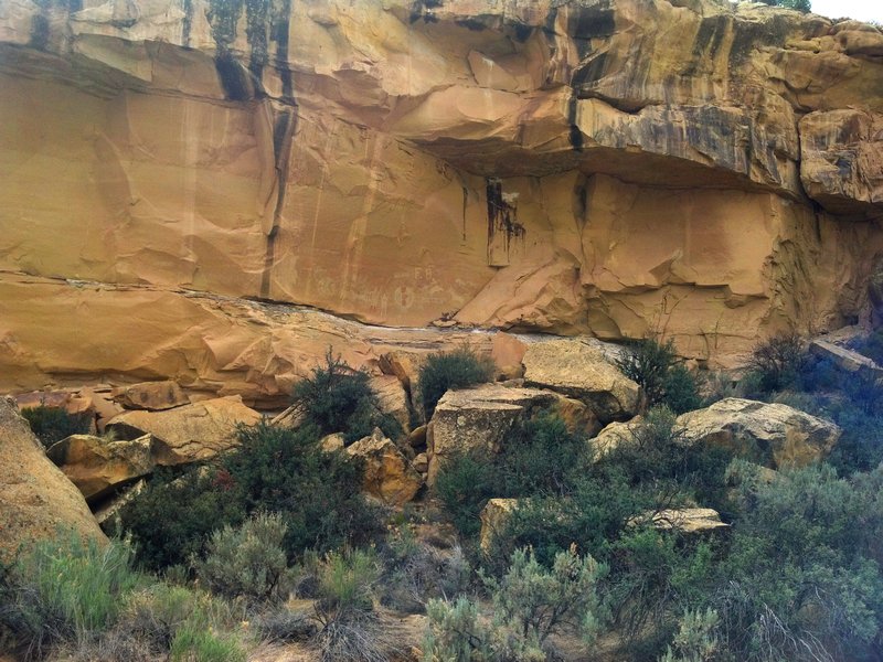 petroglyphs in Sego Canyon
