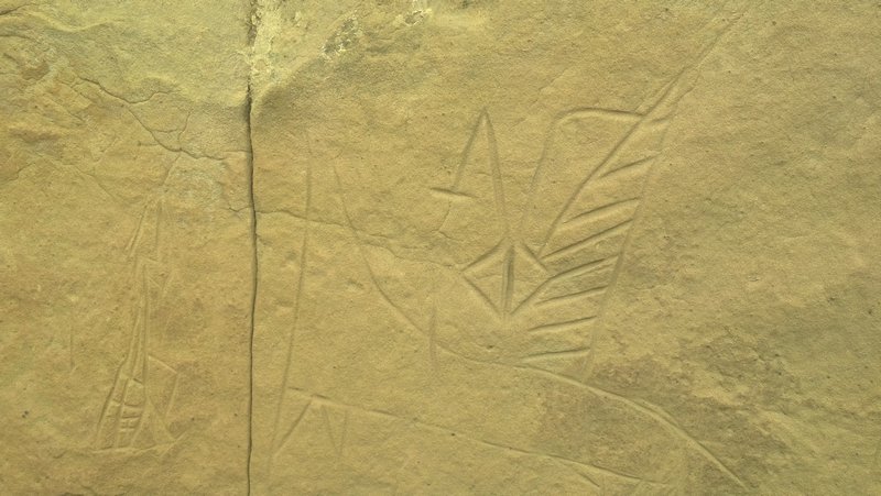 Crook Brand Petroglyph Site