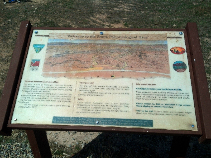 The Fruita Paleontological Area