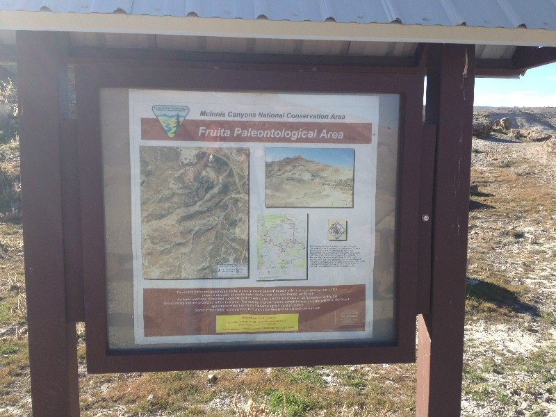 The Fruita Paleontological Area 
