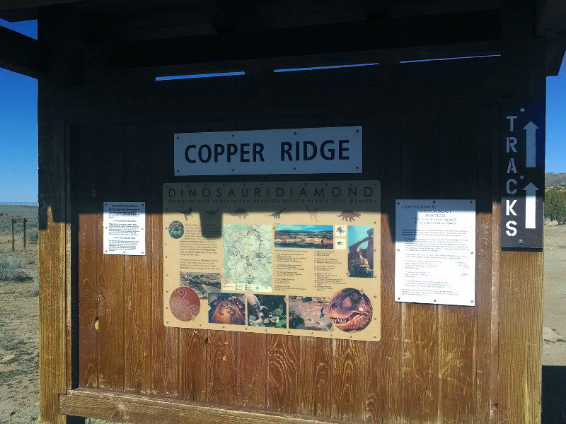 The Copper Ridge Dinosaur Trackway 