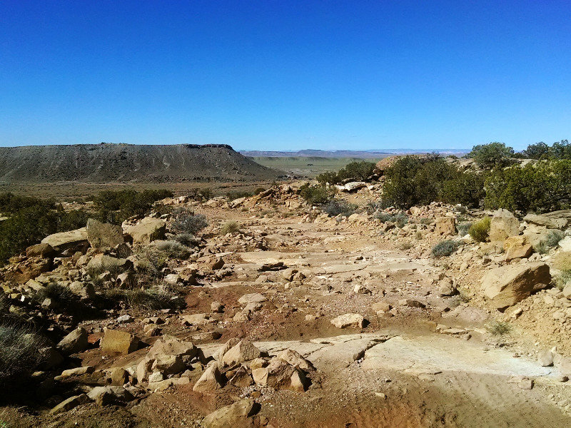 The Copper Ridge Dinosaur Trackway 