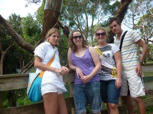Eefje, koala, Claire. Steph and me