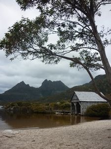hut, tree and Cradle Mountain