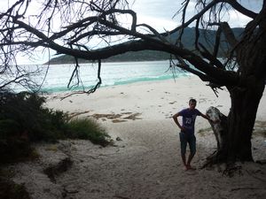 me and tree Wineglass Bay