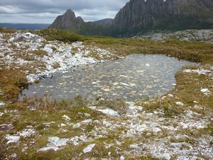 tarn in front of Cradle Mountain
