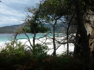 Wineglass Bay through the trees