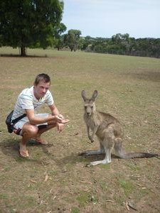 me and kangaroo looking in the camera