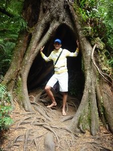 me in a hollow tree in Main Trest rainforest