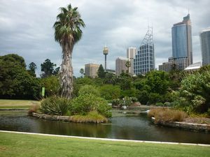 Skyline Sydney from the Botanical Gardens
