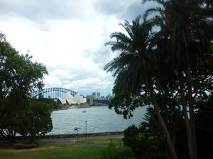 Sydney Opera House and Sydney Harbour Bridge from Botanical Gardens